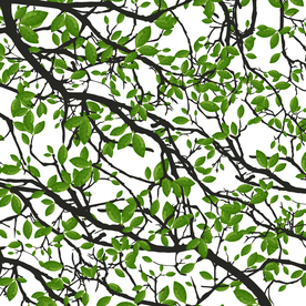 矢量动物 矢量植物 插画 手绘