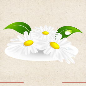 矢量动物 矢量植物 插画 手绘