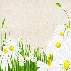 矢量动物 矢量植物 插画 手绘