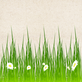 矢量动物 矢量植物 插画 手绘