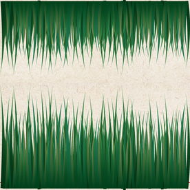 矢量动物 矢量植物 插画 手绘