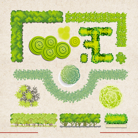 矢量动物 矢量植物 插画 手绘