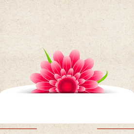 矢量动物 矢量植物 插画 手绘