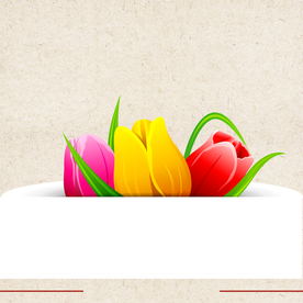 矢量动物 矢量植物 插画 手绘