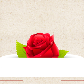 矢量动物 矢量植物 插画 手绘