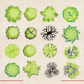 矢量动物 矢量植物 插画 手绘