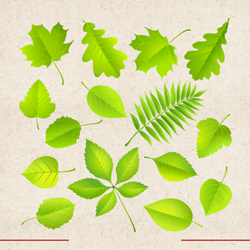 矢量动物 矢量植物 插画 手绘