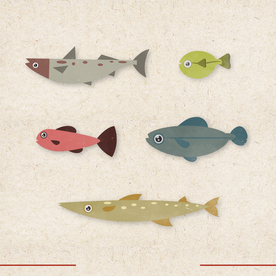 矢量动物 矢量植物 插画 手绘