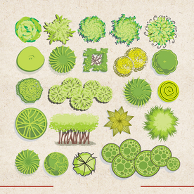 矢量动物 矢量植物 插画 手绘