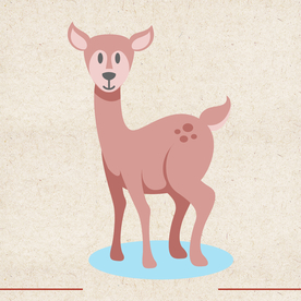 矢量动物 矢量植物 插画 手绘