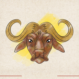 矢量动物 矢量植物 插画 手绘