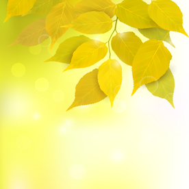 矢量动物 矢量植物 插画 手绘