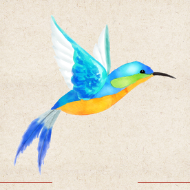 矢量动物 矢量植物 插画 手绘