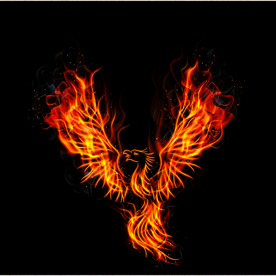 矢量动物 矢量植物 插画 手绘