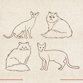 矢量动物 矢量植物 插画 手绘