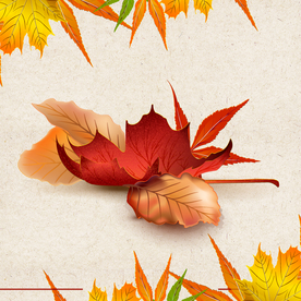 矢量动物 矢量植物 插画 手绘