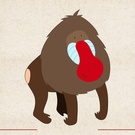 矢量动物 矢量植物 插画 手绘