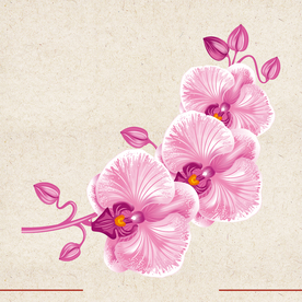 矢量动物 矢量植物 插画 手绘