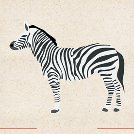 矢量动物 矢量植物 插画 手绘