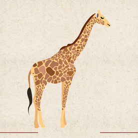 矢量动物 矢量植物 插画 手绘