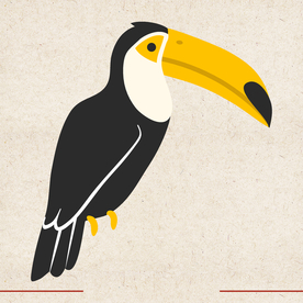 矢量动物 矢量植物 插画 手绘