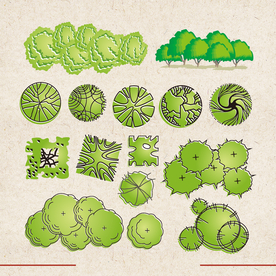 矢量动物 矢量植物 插画 手绘