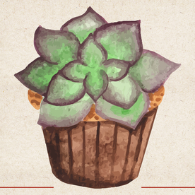 矢量动物 矢量植物 插画 手绘