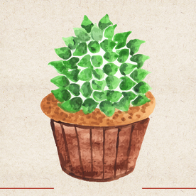 矢量动物 矢量植物 插画 手绘