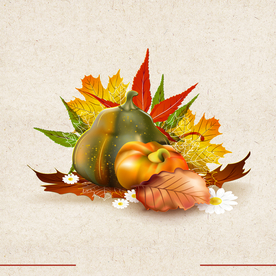 矢量动物 矢量植物 插画 手绘