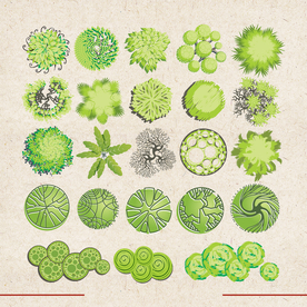 矢量动物 矢量植物 插画 手绘