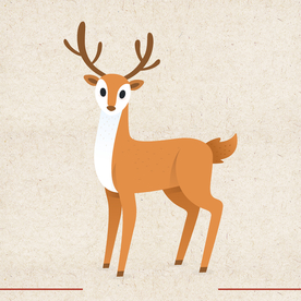 矢量动物 矢量植物 插画 手绘