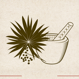 矢量动物 矢量植物 插画 手绘