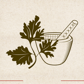 矢量动物 矢量植物 插画 手绘