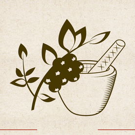 矢量动物 矢量植物 插画 手绘