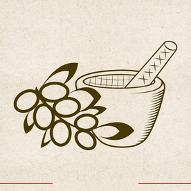 矢量动物 矢量植物 插画 手绘