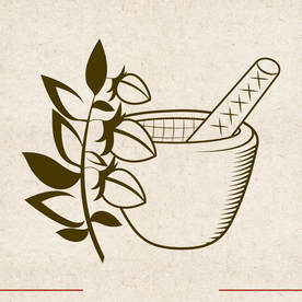 矢量动物 矢量植物 插画 手绘