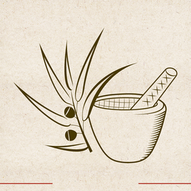 矢量动物 矢量植物 插画 手绘