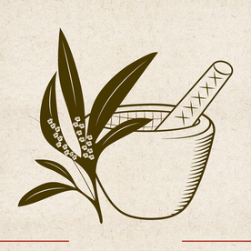 矢量动物 矢量植物 插画 手绘