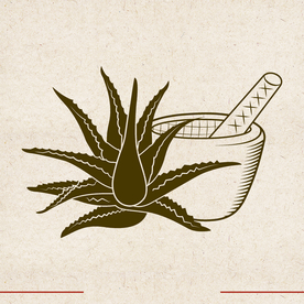 矢量动物 矢量植物 插画 手绘