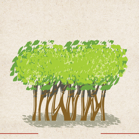 矢量动物 矢量植物 插画 手绘