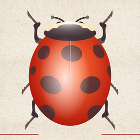 矢量动物 矢量植物 插画 手绘