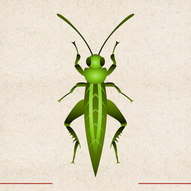 矢量动物 矢量植物 插画 手绘