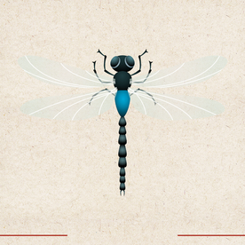 矢量动物 矢量植物 插画 手绘