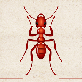 矢量动物 矢量植物 插画 手绘