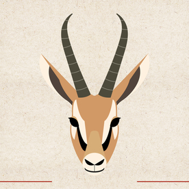 矢量动物 矢量植物 插画 手绘