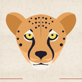 矢量动物 矢量植物 插画 手绘