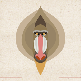 矢量动物 矢量植物 插画 手绘