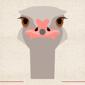 矢量动物 矢量植物 插画 手绘