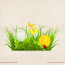 矢量动物 矢量植物 插画 手绘