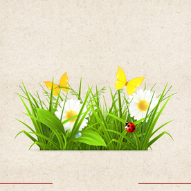 矢量动物 矢量植物 插画 手绘